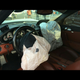 Illustration for article titled 900HP 997 Turbo Crashes During a Drag Race